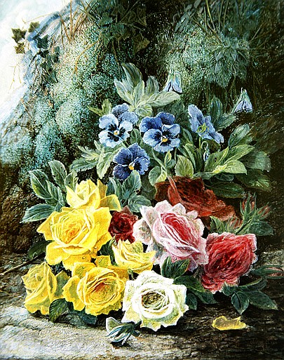 Roses van Oliver Clare