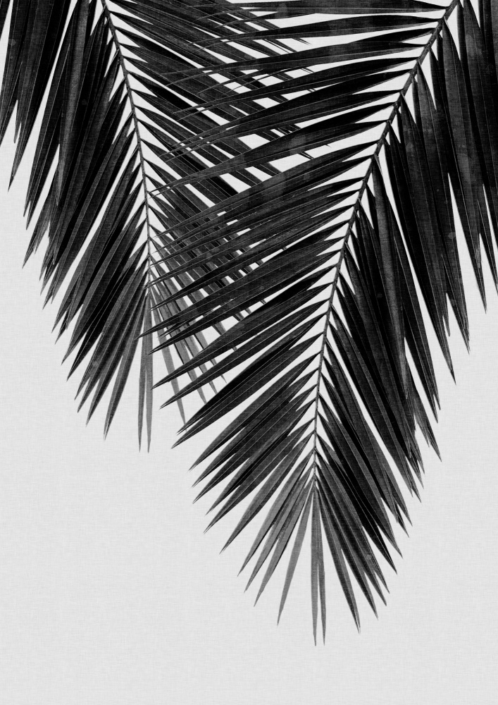 Palm Leaf Black &amp; White II van Orara Studio