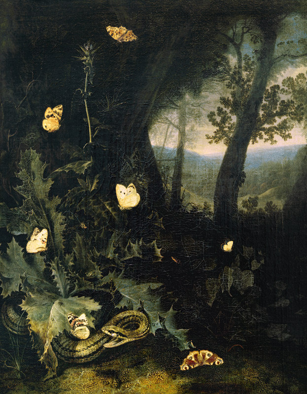Waldboden mit Distel und Schlange van Otto Marseus van Schrieck