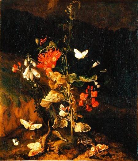 Flower Study van Otto Marseus van Schrieck