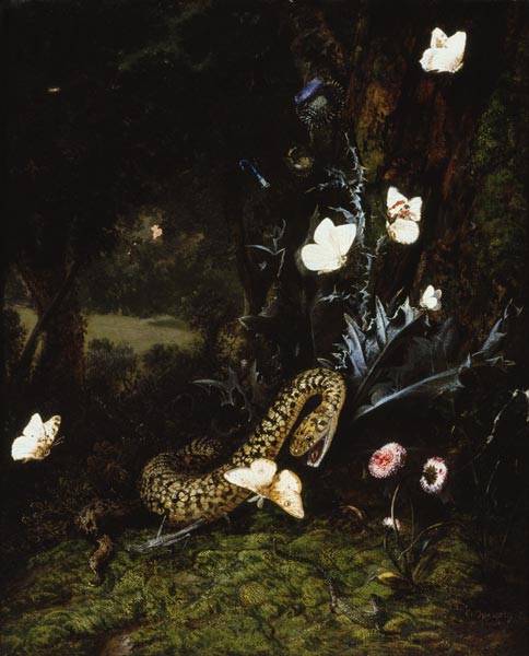 Grashüpfer, Schlange und Schmetterlinge bei einer Distel van Otto Marseus van Schrieck
