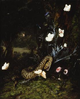 Grashüpfer, Schlange und Schmetterlinge bei einer Distel