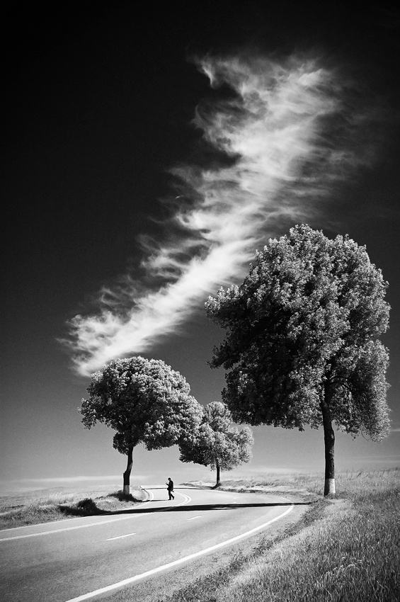Long White Cloud van Padurariu Alexandru