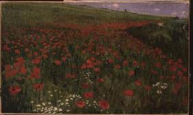 The Poppy Field
