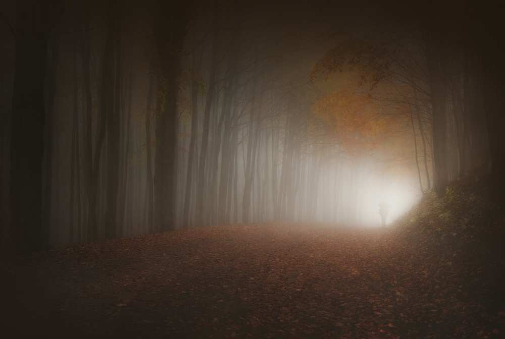 Last Light of Autumn van Paolo Lazzarotti