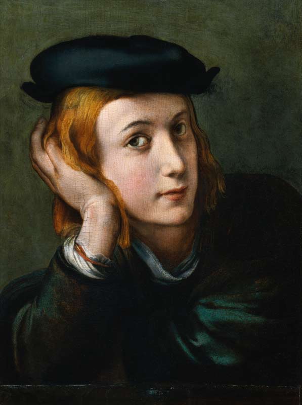 Bildnis eines jungen Mannes. van Parmigianino