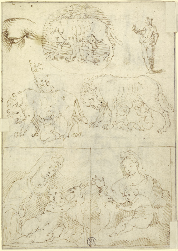 Studienblatt: Wölfin mit Romulus und Remus sowie Madonna van Parmigianino