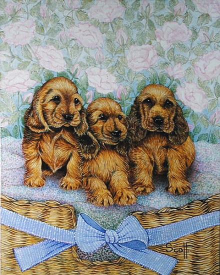 Brother Puppies (oil on canvas)  van Pat  Scott