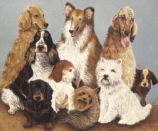 Dogs'' Dinner (oil on canvas)  van Pat  Scott