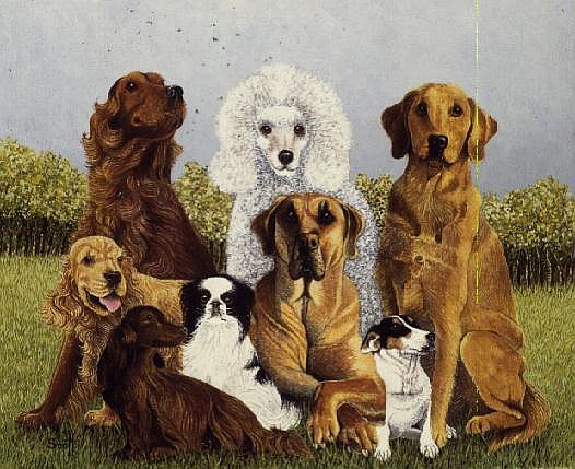 Oliver''s Dogs (oil on canvas)  van Pat  Scott