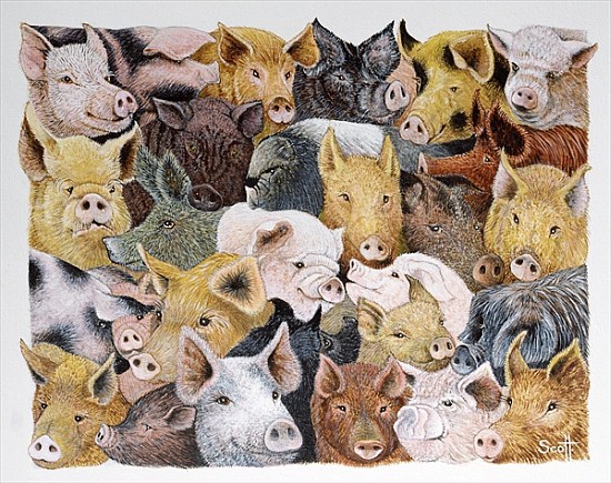 Pigs Galore (acrylic on calico)  van Pat  Scott