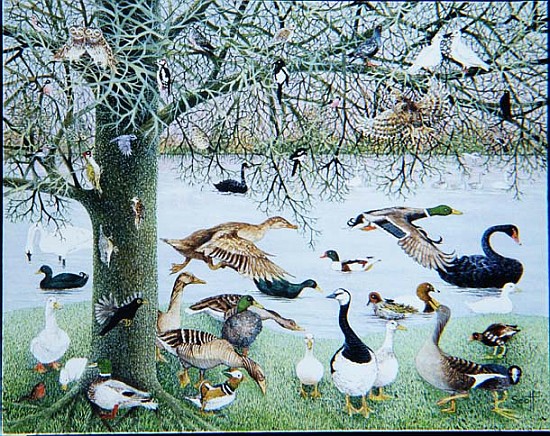 The Odd Duck (acrylic on canvas)  van Pat  Scott