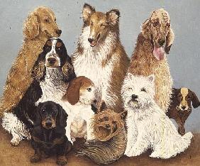 Dogs'' Dinner (oil on canvas) 