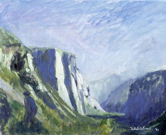 El Capitan, Yosemite National Park, 1993 (oil on canvas)  van Patricia  Espir