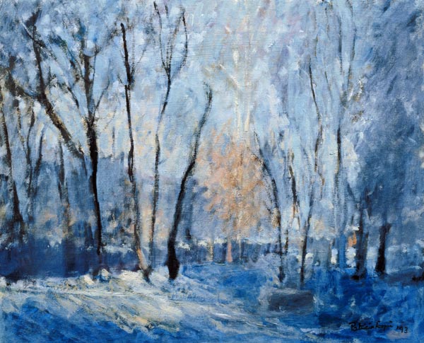 Snow in the Garden, 1993  van Patricia  Espir