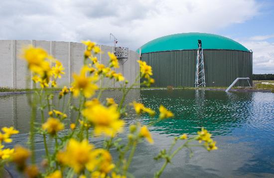 Biogasanlage in Turnow van Patrick Pleul
