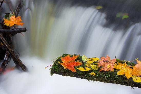 Herbstfeature in Märkisch-Oderland van Patrick Pleul