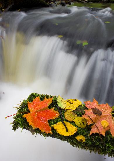 Herbstfeature in Märkisch-Oderland van Patrick Pleul