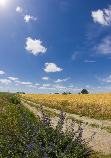 Landschaft der Uckermark in Brandenburg van Patrick Pleul