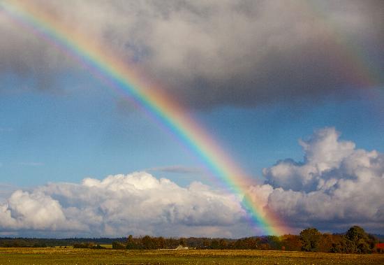 Regenbogen über Herbstlandschaft van Patrick Pleul