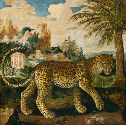 Ein Leopard. van Paul de Vos