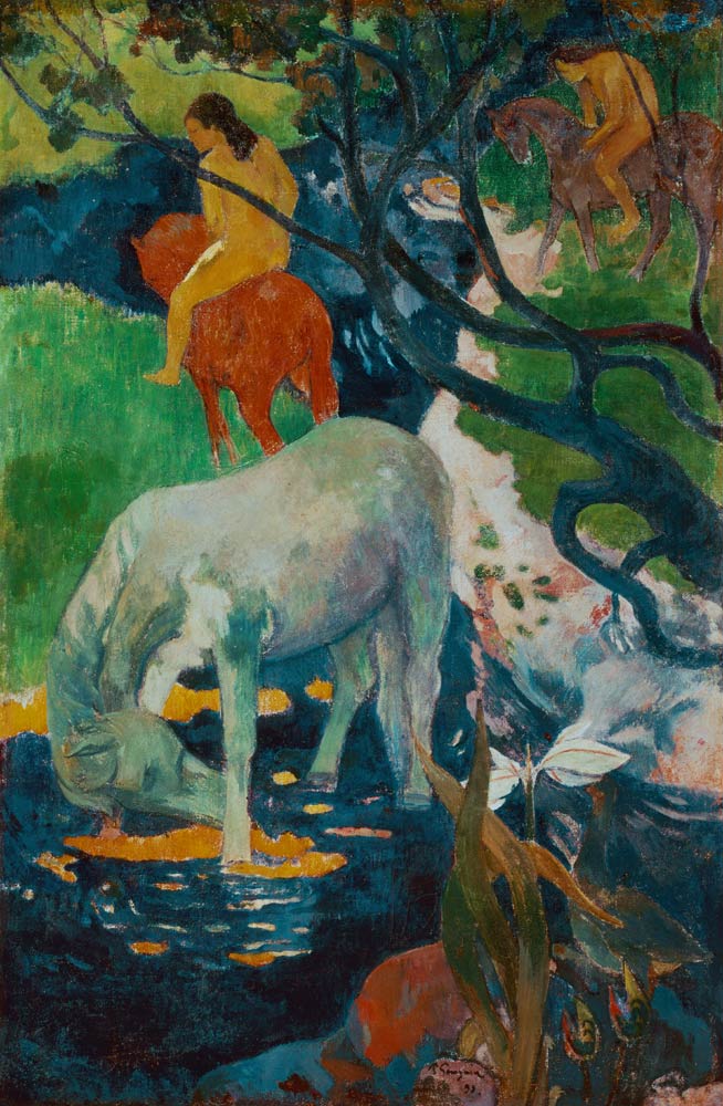 P.Gauguin, Der Schimmel van Paul Gauguin