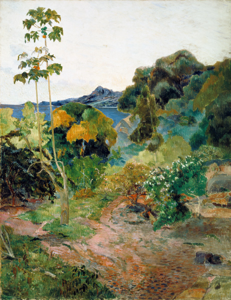 Landschaft auf Martinique van Paul Gauguin