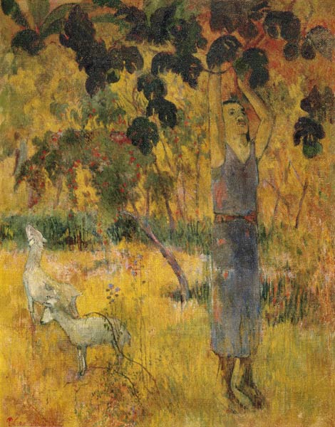 Man Picking Fruit from a Tree van Paul Gauguin