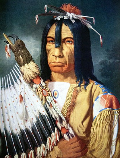 Native American Chief of the Cree people of Canada van Paul Kane
