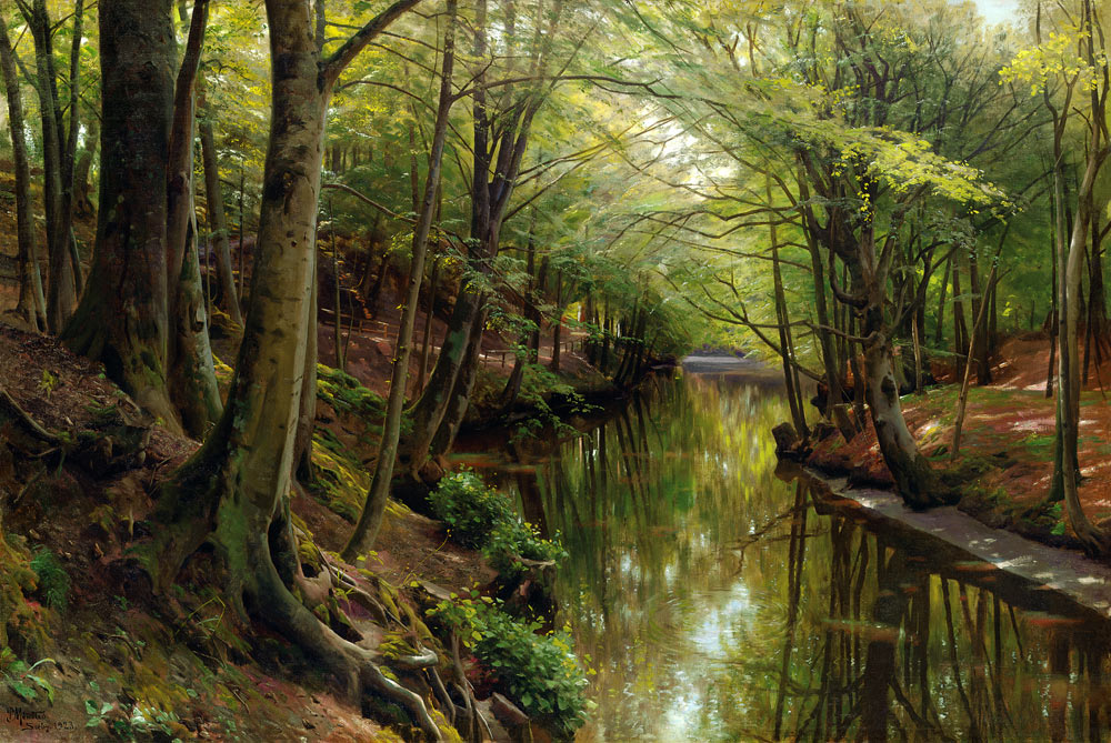 Gewässer in einem Wald van Peder Moensted