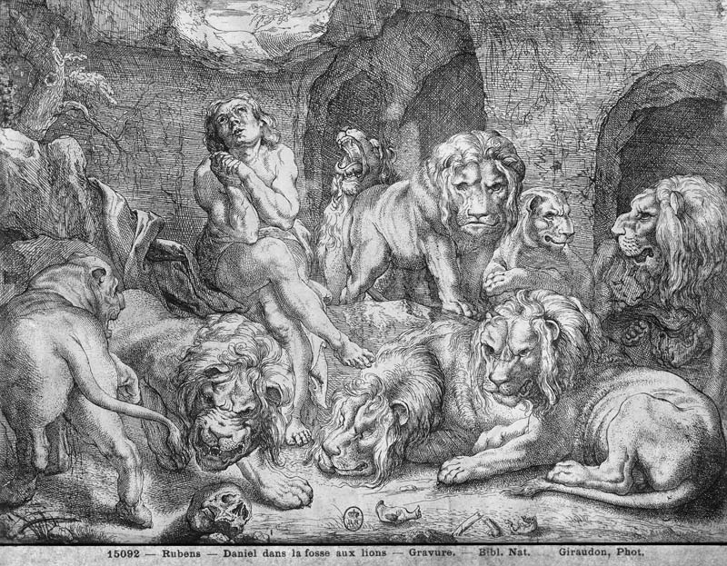 Daniel in the lions'' den van Peter Paul Rubens Peter Paul Rubens