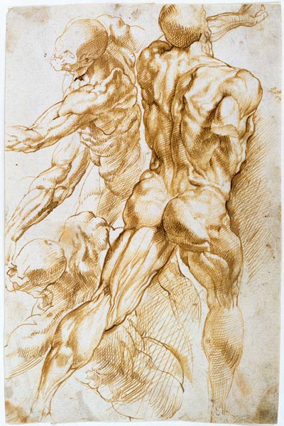 Anatomische Studie: Kämpfende Akte. van Peter Paul Rubens Peter Paul Rubens