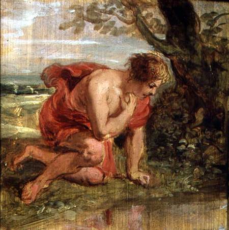 Narcissus van Peter Paul Rubens Peter Paul Rubens