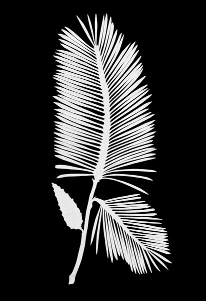 Palmwedel. van Phillip Otto Runge