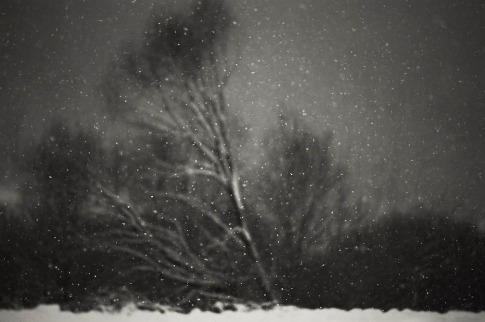Winter van PhotoCosma