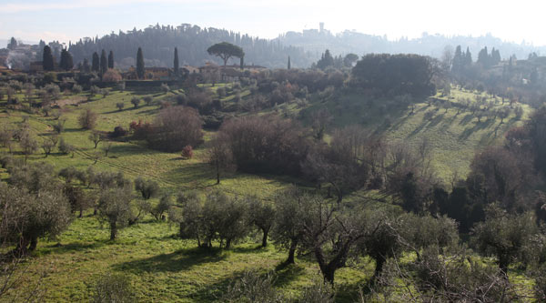 Paesaggio Collinare nei dintorni di Firenze 2013 van Andrea Piccinini