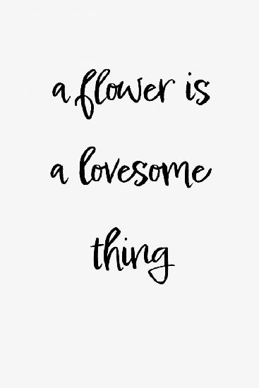 A flower is a lovesome thing