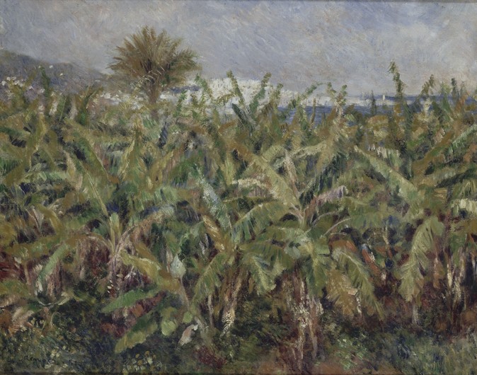 Field of Banana Trees (Champ de bananiers) van Pierre-Auguste Renoir