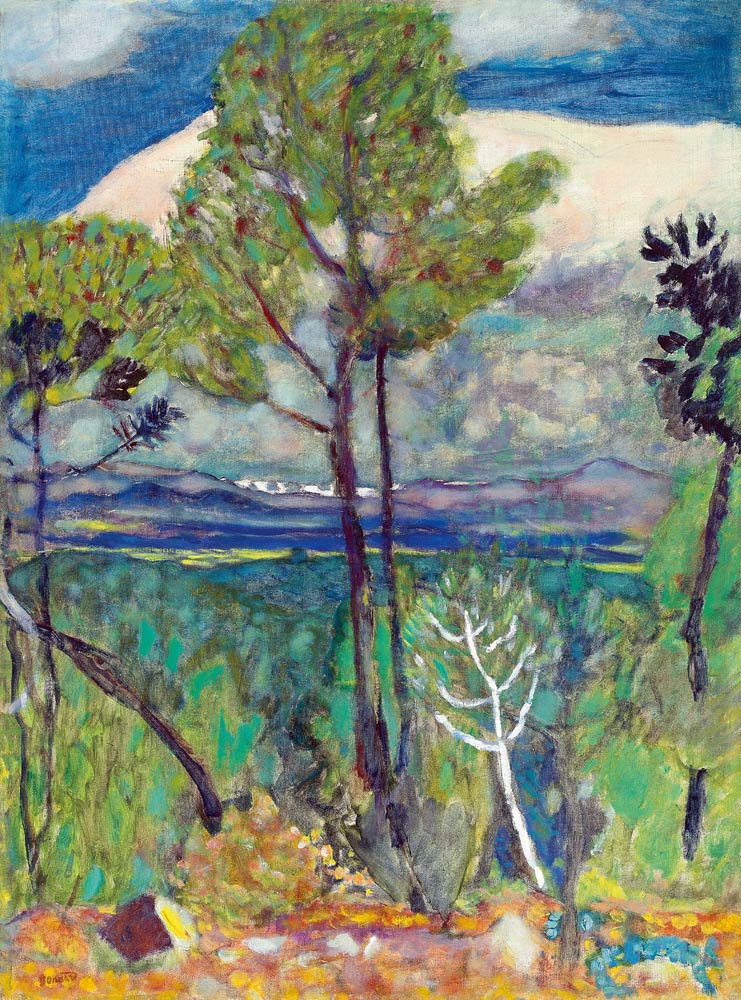 Landscape van Pierre Bonnard