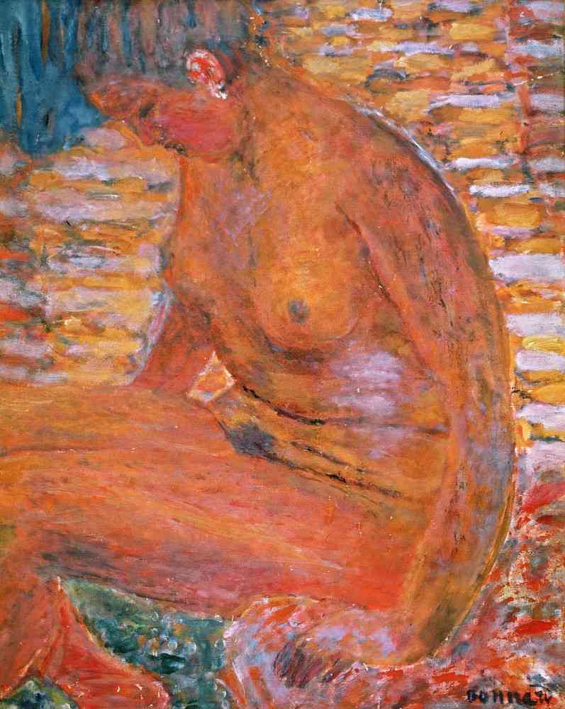 Sombre Nude van Pierre Bonnard