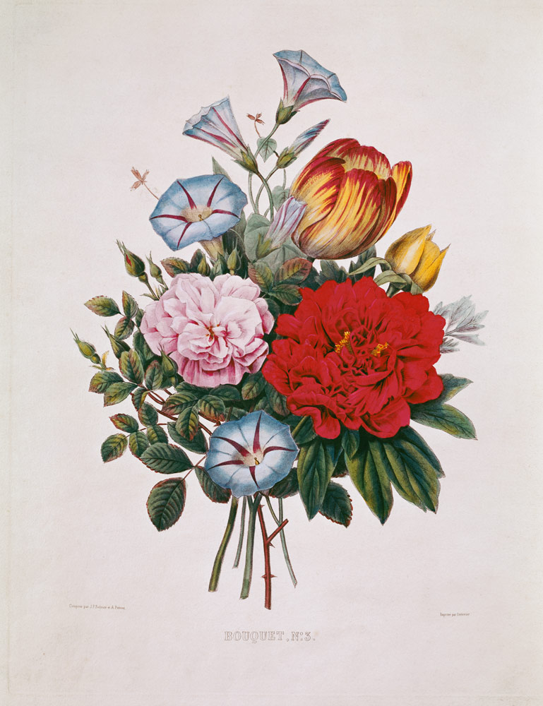 Bouquet N°3 mit Tulpe, Nelke, Winden und Pfingstrose van Pierre Joseph Redouté