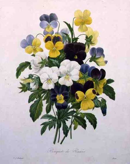 Bouquet of Pansies, engraved by Victor, from 'Choix des Plus Belles Fleurs' van Pierre Joseph Redouté