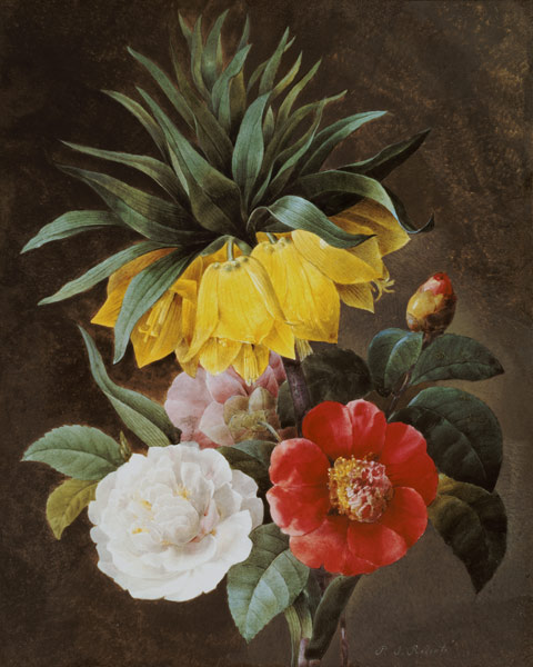 Exotic Flowers van Pierre Joseph Redouté