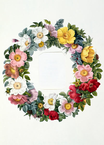 Wreath of Roses, Frontispiece for 'Les Roses' van Pierre Joseph Redouté