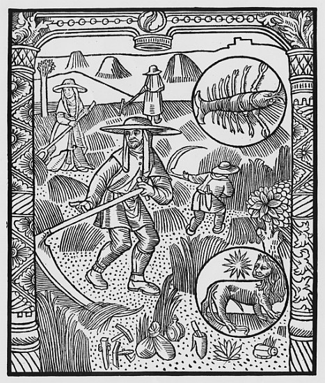 July, haymaking, Cancer, illustration from the ''Almanach des Bergers'', 1491 (xylograph) van Pierre Le Rouge