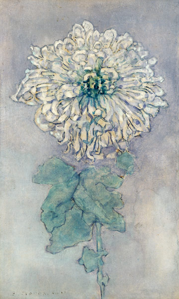 Chrysanthemum van Piet Mondriaan