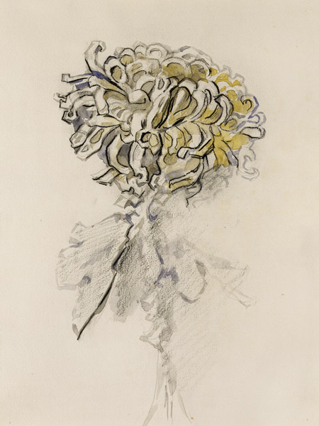 Chrysanthemum van Piet Mondriaan