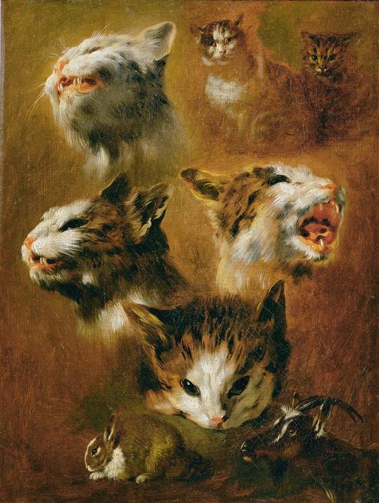 Tierstudien: Katzen, Kaninchen und Ziege van Pieter Boel