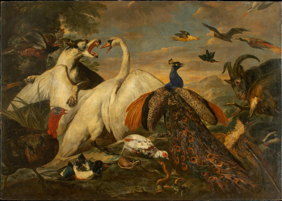 Fighting Animals as Allegory of the Combat between Virtue and Vice van Pieter Boel