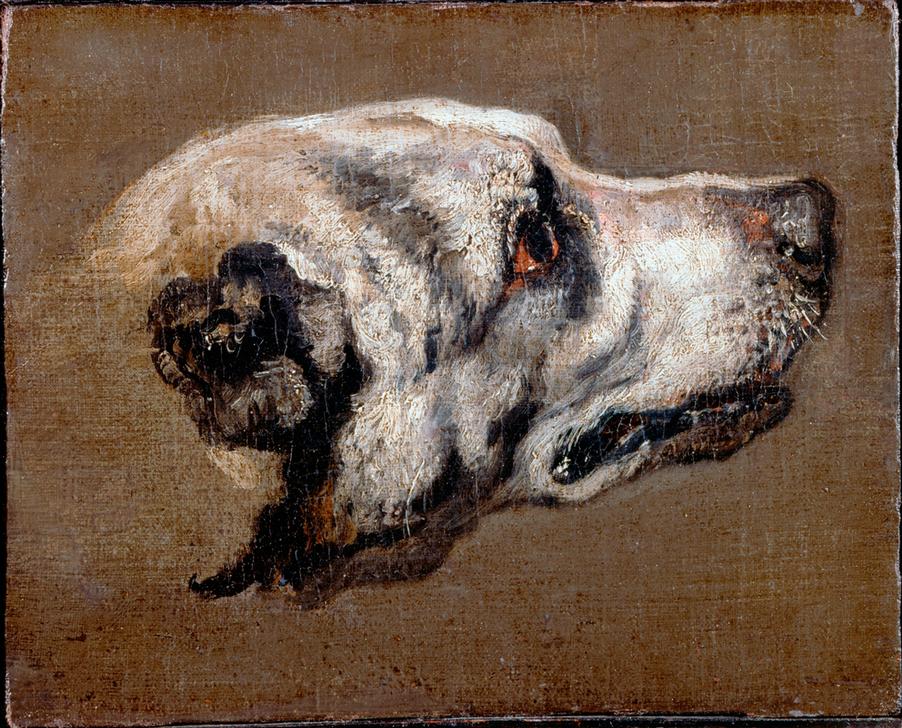 Kopf eines Hundes van Pieter Boel